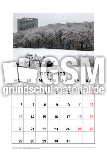 Dezember 2010.pdf